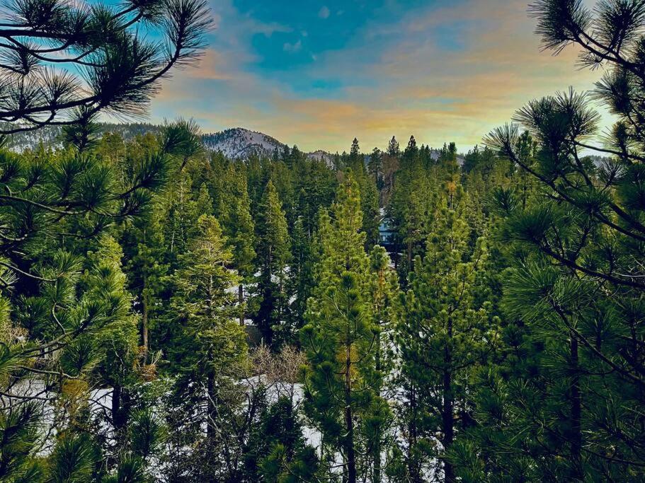 Luxury Joyful Bear Cabin With View, Big Bear Lakeヴィラ エクステリア 写真