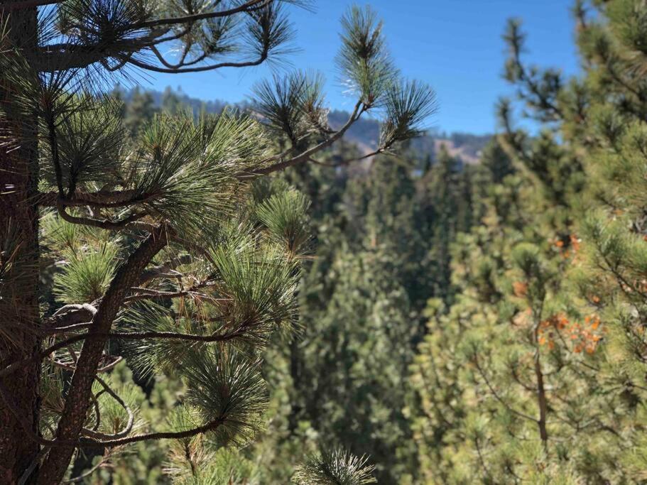 Luxury Joyful Bear Cabin With View, Big Bear Lakeヴィラ エクステリア 写真