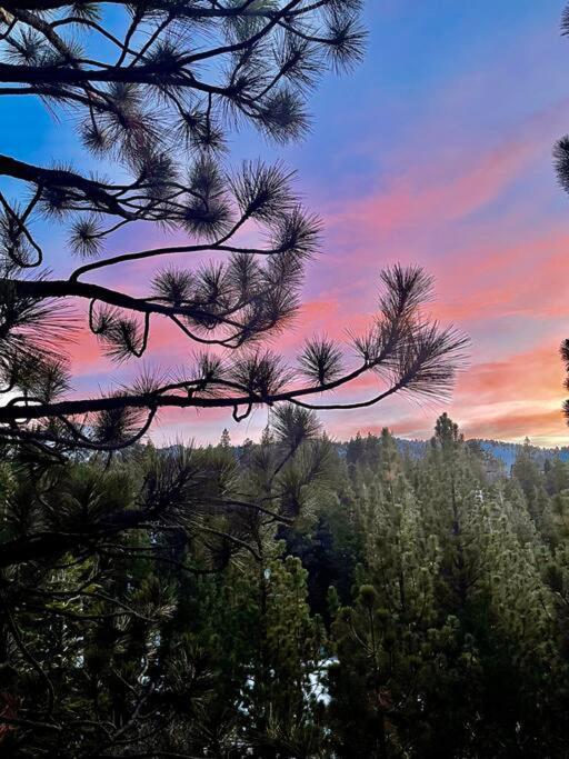 Luxury Joyful Bear Cabin With View, Big Bear Lakeヴィラ エクステリア 写真