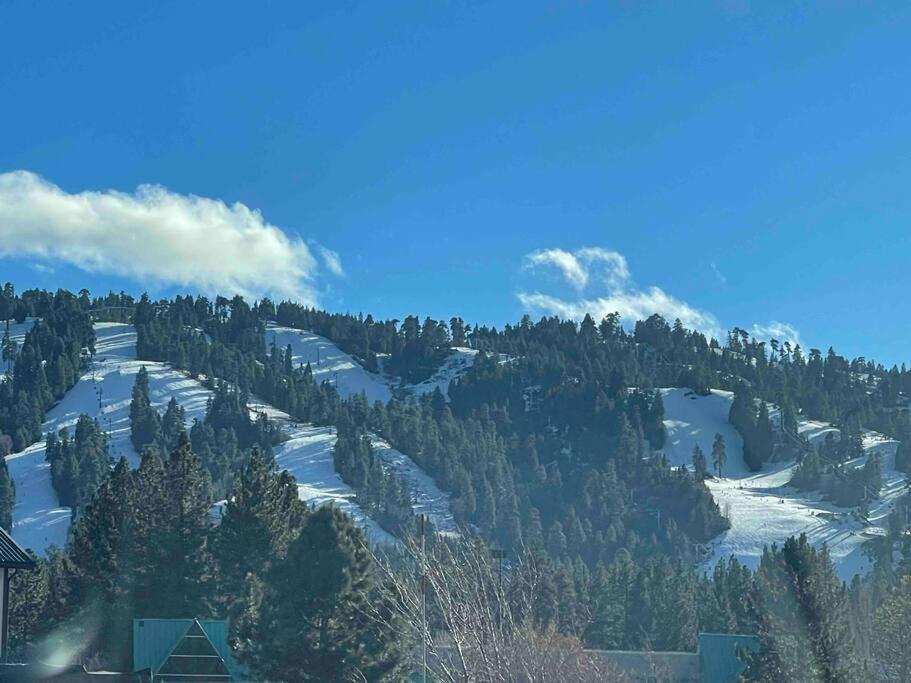 Luxury Joyful Bear Cabin With View, Big Bear Lakeヴィラ エクステリア 写真